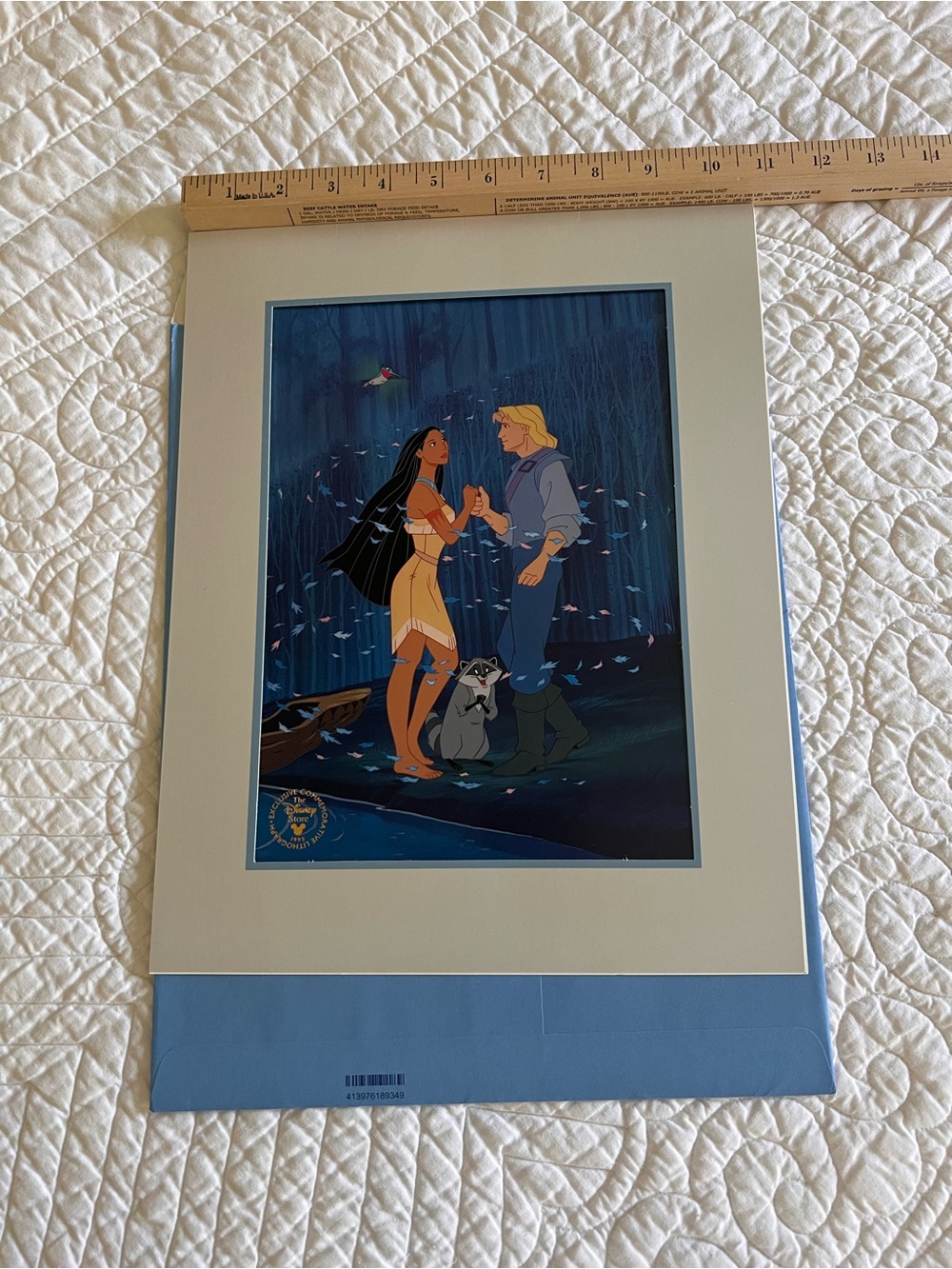 Disney Store Pocahontas Lithograph Print